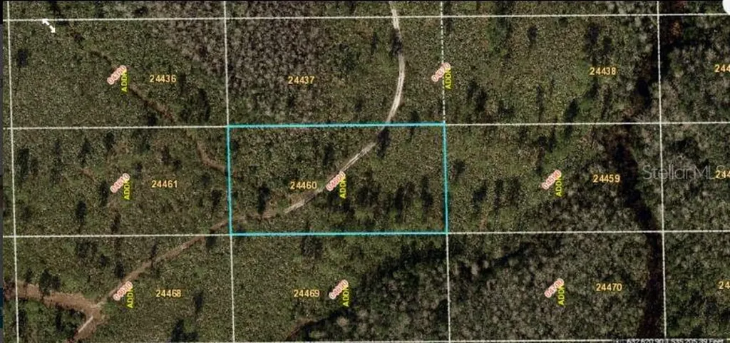 Dill Road Orlando FL 32820