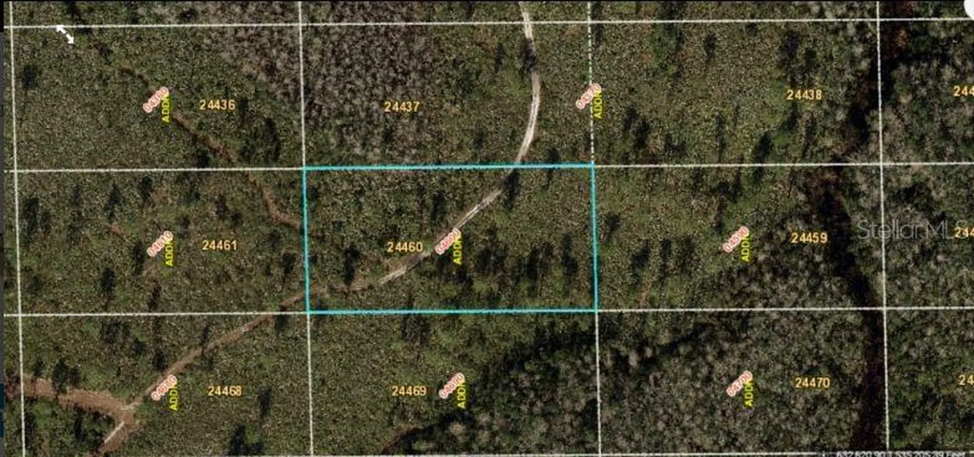Dill Road Orlando FL 32820
