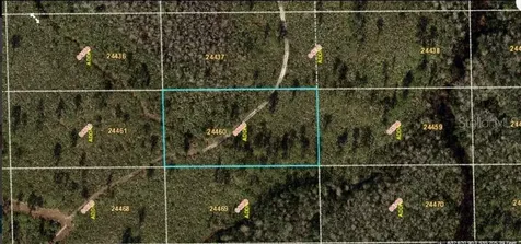Dill Road Orlando FL 32820