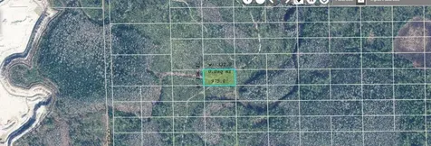 Dill Road Orlando FL 32820