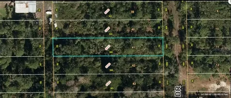 1000 Greenbriar Drive Christmas FL 32709