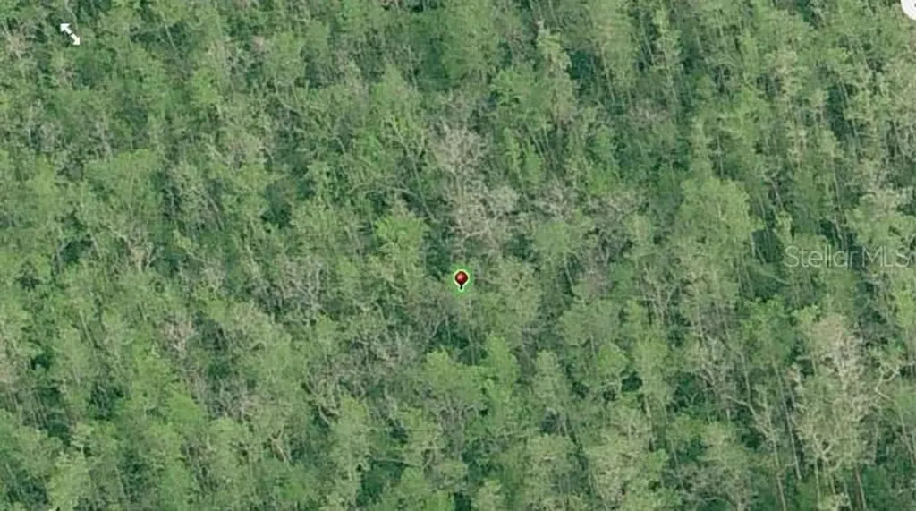 Dill Road Orlando FL 32820