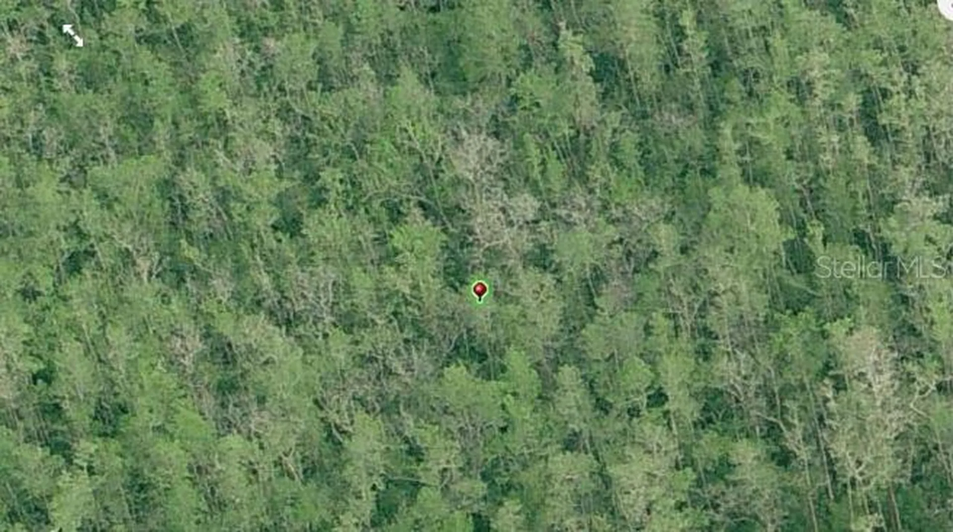 Dill Road Orlando FL 32820
