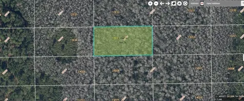 Dill Road Orlando FL 32820