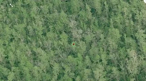 Dill Road Orlando FL 32820
