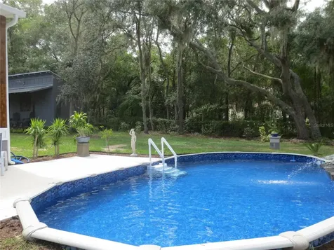 11925 SE 167th Avenue Road Ocklawaha FL 32179