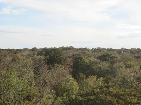 11925 SE 167th Avenue Road Ocklawaha FL 32179