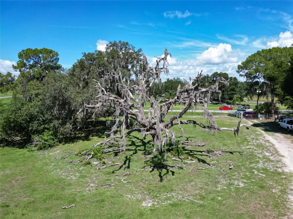 8315 Tom Costine Road Lakeland FL 33809