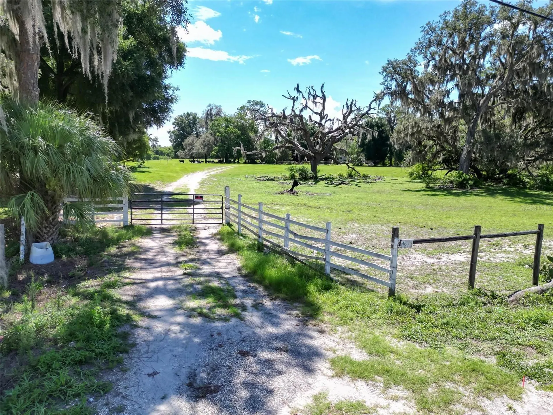 8315 Tom Costine Road Lakeland FL 33809