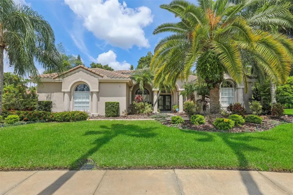 12113 Clear Harbor Drive Tampa FL 33626