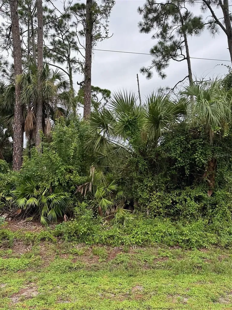 Port Charlotte FL 33954