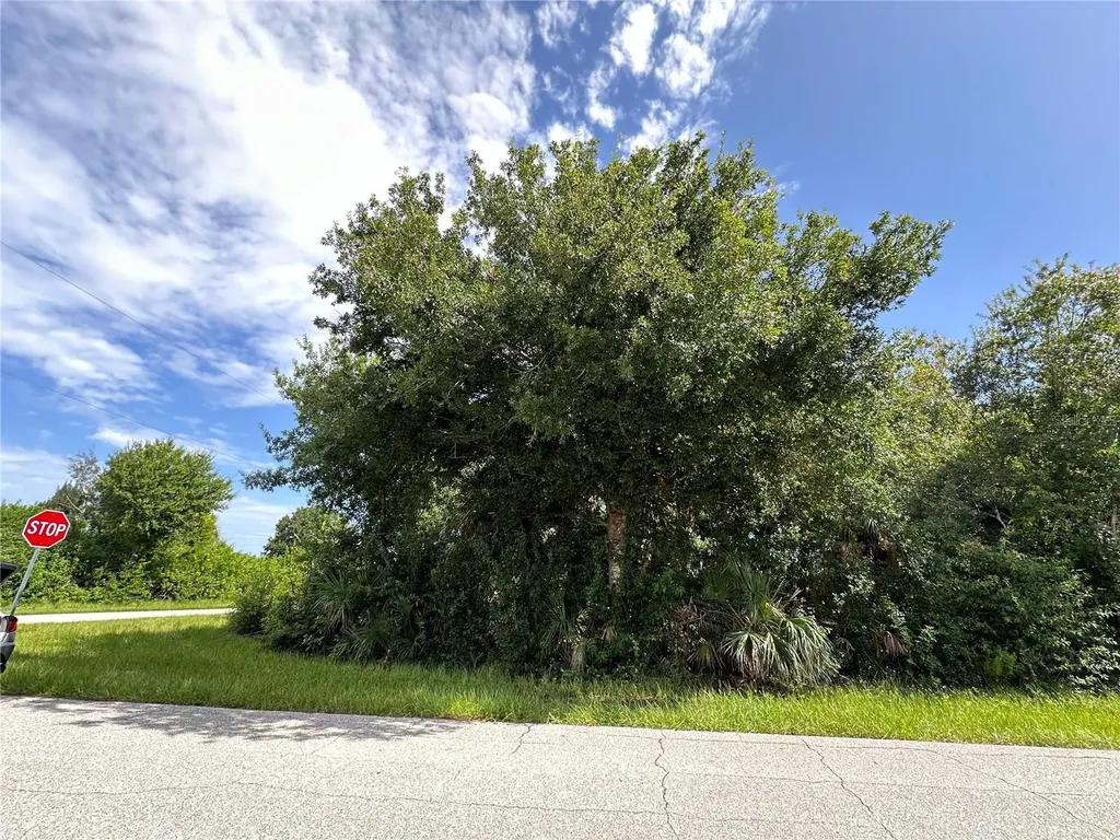 12088 Henley Avenue Port Charlotte FL 33981