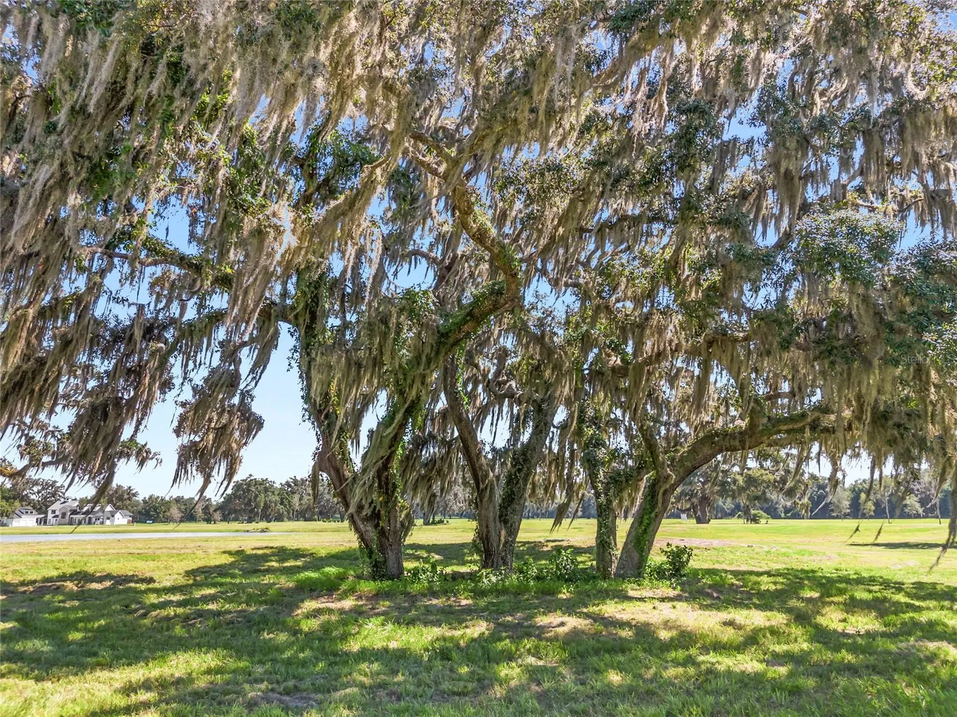 Tbd (Lot 27-w) SW 138th Loop Dunnellon FL 34432