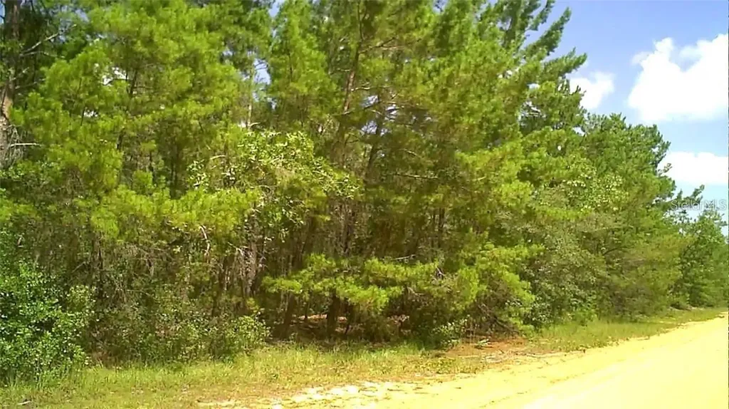 0 Childs Road Interlachen FL 32148