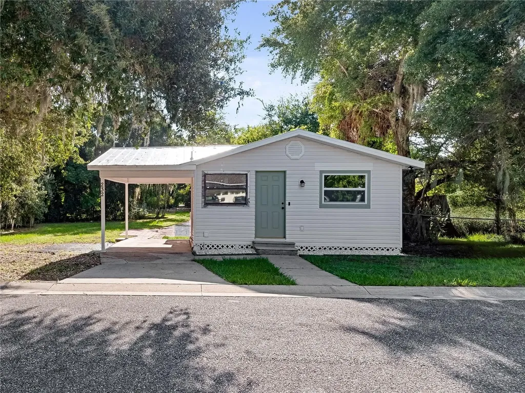 232 Bisby Street Leesburg FL 34748