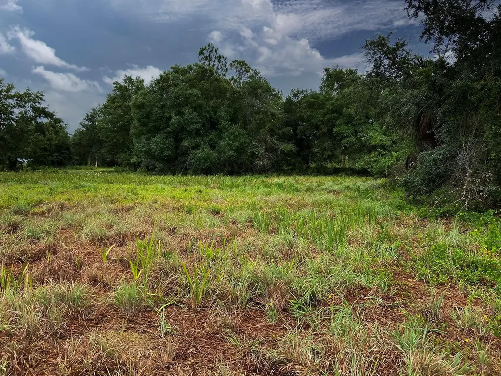 Lightfoot Road Wimauma FL 33598