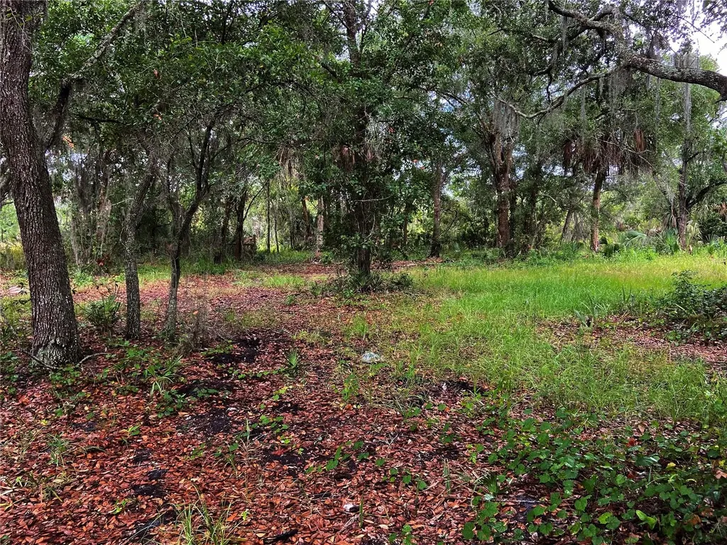 Lightfoot Road Wimauma FL 33598