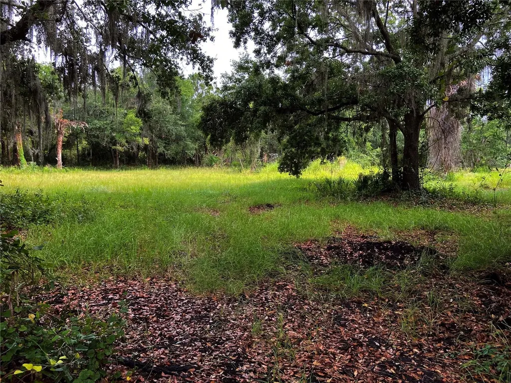 Lightfoot Road Wimauma FL 33598