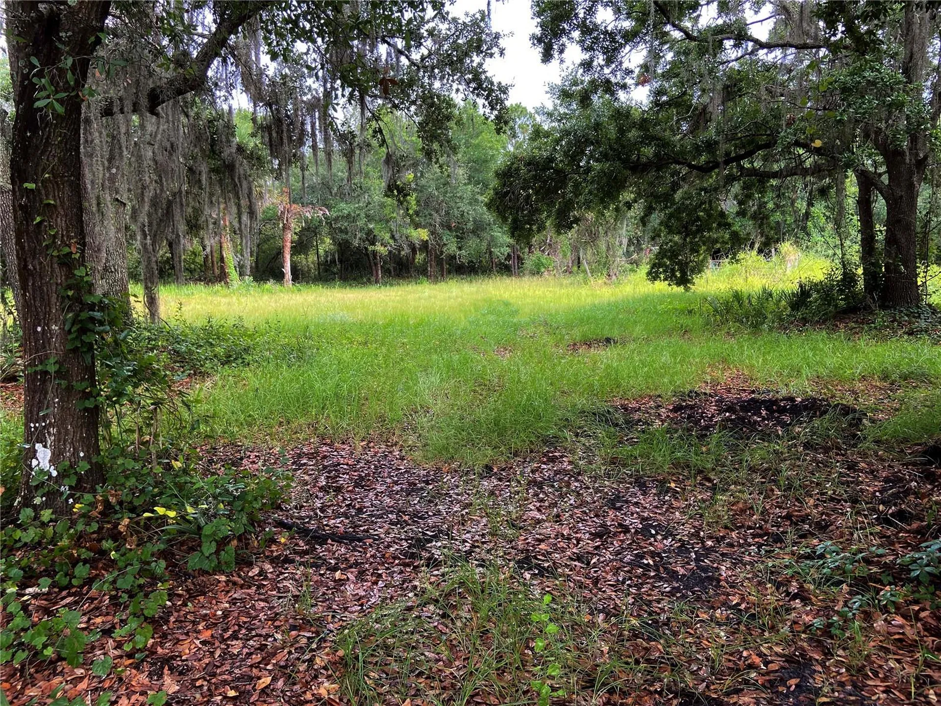 Lightfoot Road Wimauma FL 33598