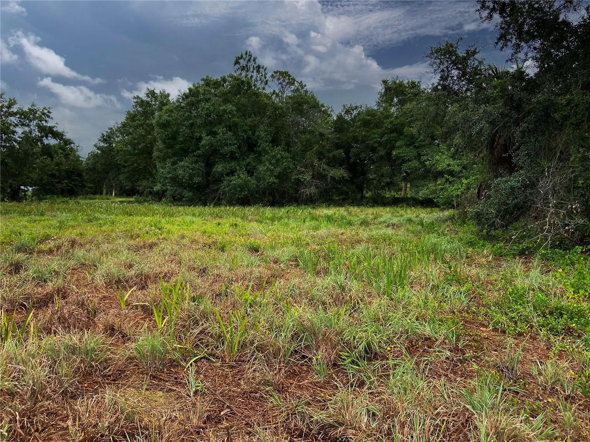 Lightfoot Road Wimauma FL 33598