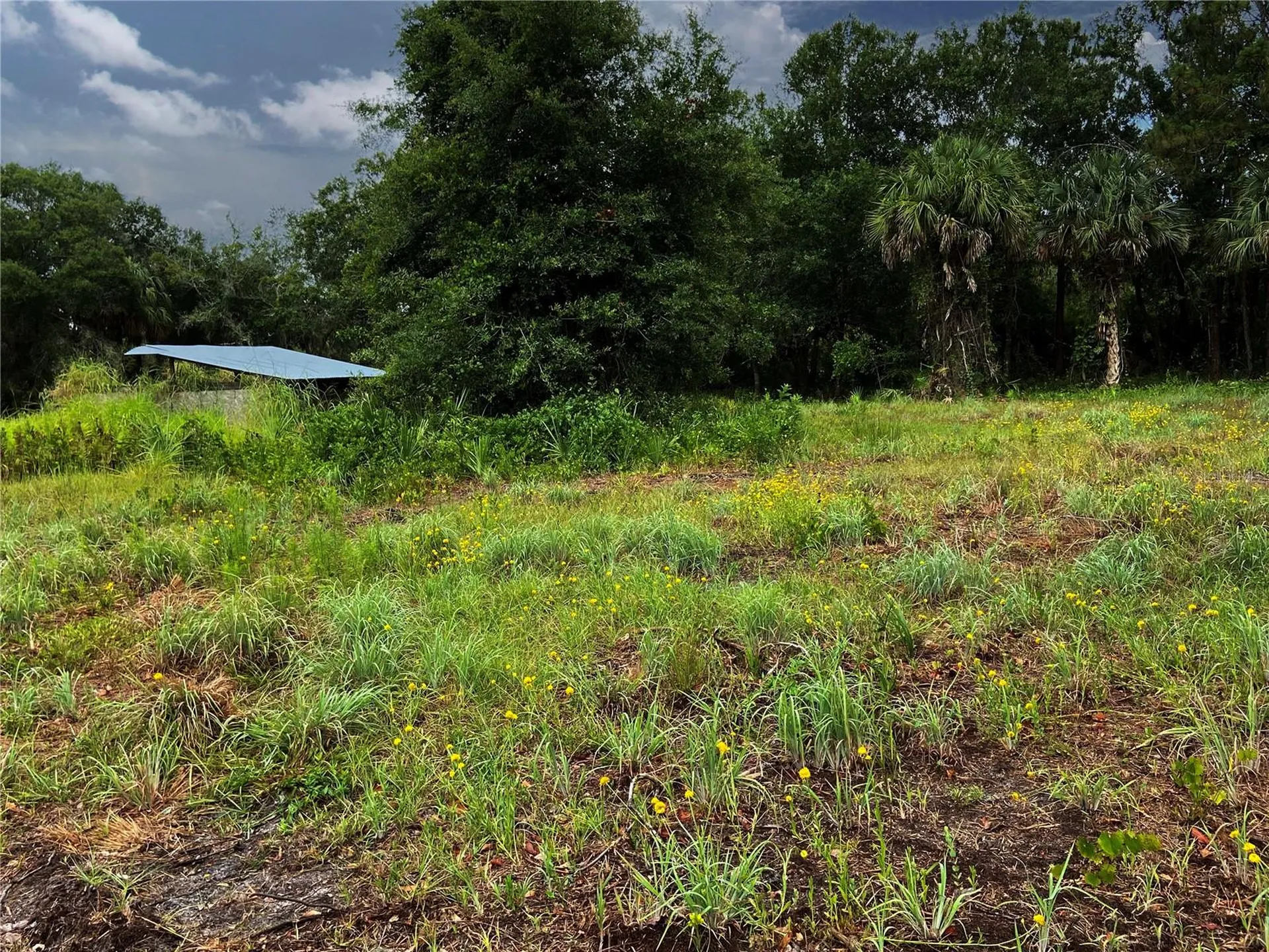 Lightfoot Road Wimauma FL 33598