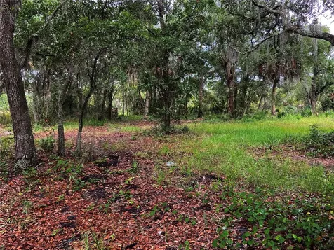 Lightfoot Road Wimauma FL 33598