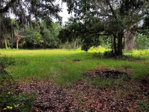Lightfoot Road Wimauma FL 33598