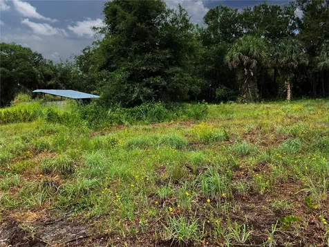 Lightfoot Road Wimauma FL 33598