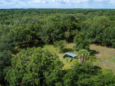 Lightfoot Road Wimauma FL 33598