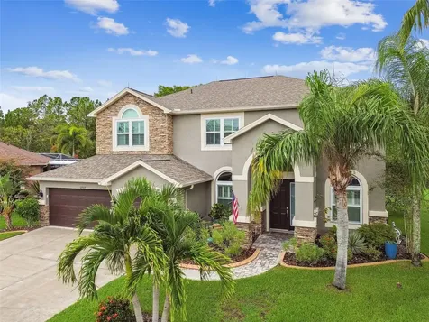 12927 Castlemaine Drive Tampa FL 33626