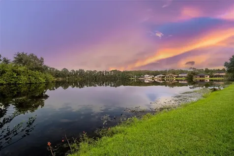 12927 Castlemaine Drive Tampa FL 33626