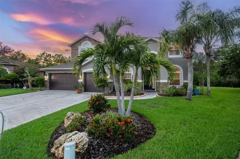 12927 Castlemaine Drive Tampa FL 33626