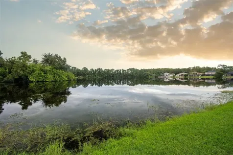 12927 Castlemaine Drive Tampa FL 33626
