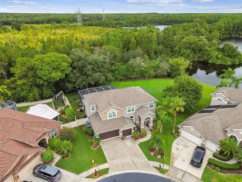 12927 Castlemaine Drive Tampa FL 33626