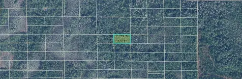 Dill Road Orlando FL 32820