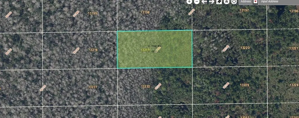 Dill Road Orlando FL 32820