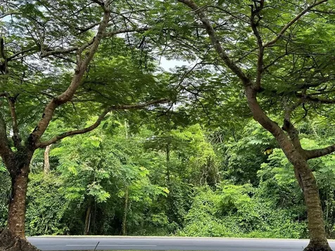 Barrio Rio Carr 834 Km 9.3 Guaynabo PR 00969