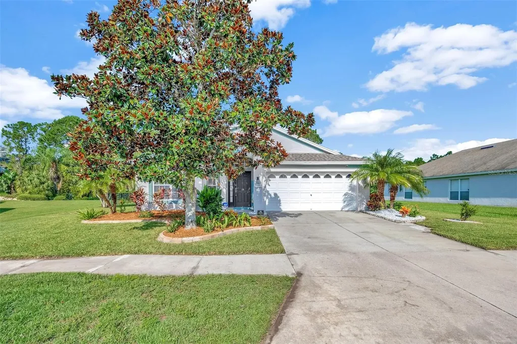 7801 Blackhill Street Wesley Chapel FL 33545