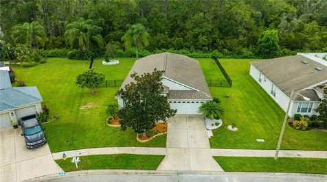 7801 Blackhill Street Wesley Chapel FL 33545