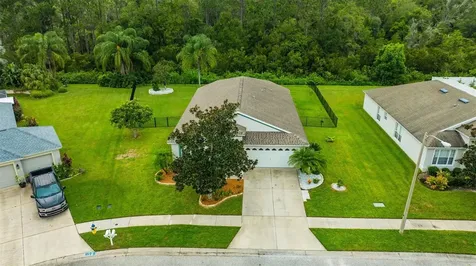 7801 Blackhill Street Wesley Chapel FL 33545