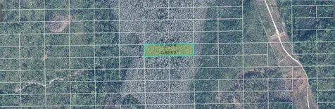 Dill Road Orlando FL 32820