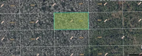 Dill Road Orlando FL 32820
