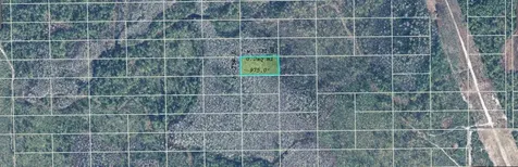 Dill Road Orlando FL 32820