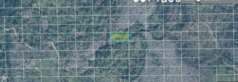 Dill Road Orlando FL 32820