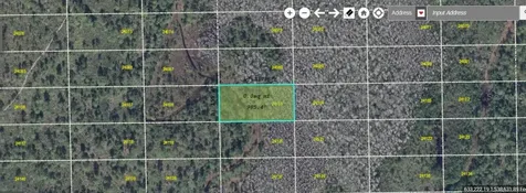 Dill Road Orlando FL 32820