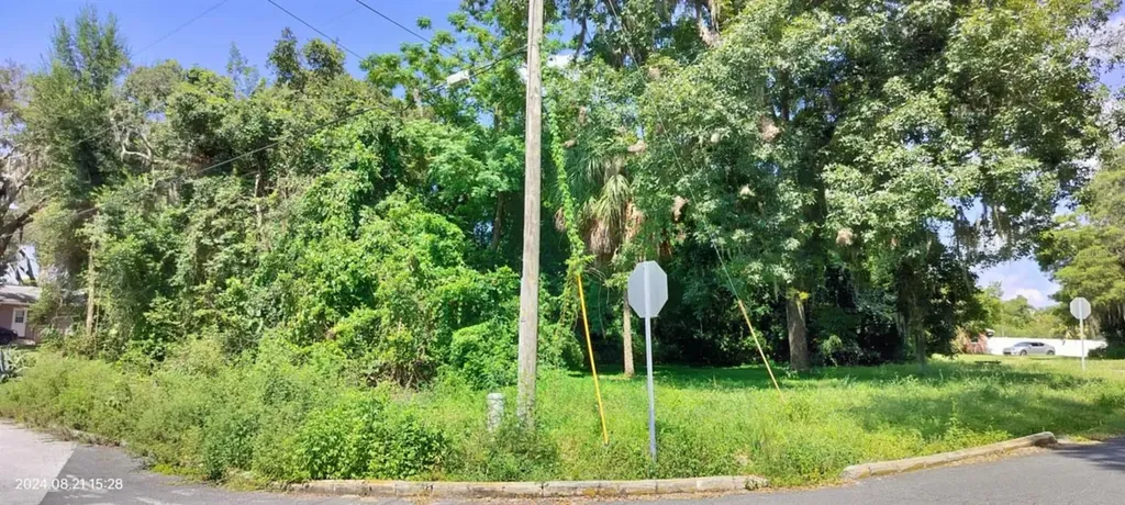 1980 S Tsala Terrace Inverness FL 34450