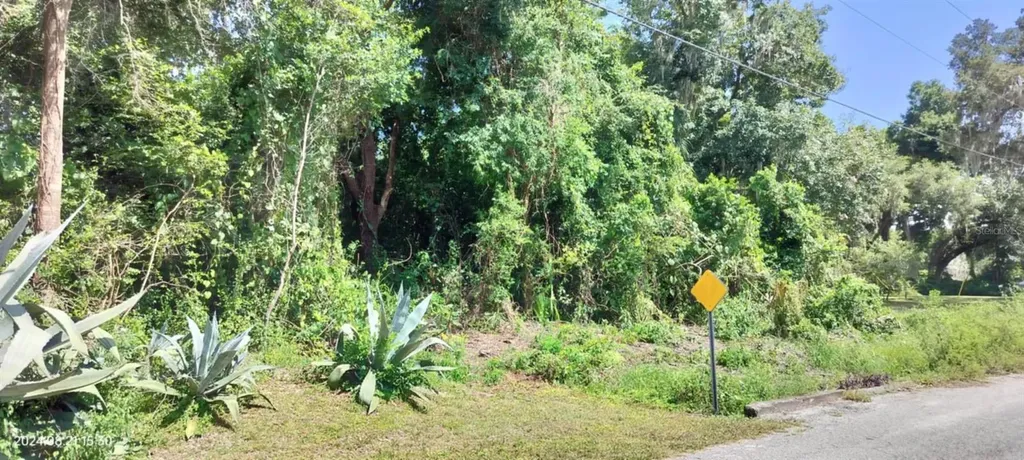 1980 S Tsala Terrace Inverness FL 34450