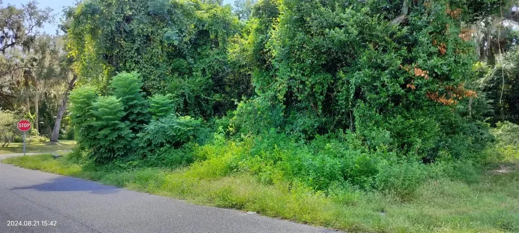 1980 S Tsala Terrace Inverness FL 34450
