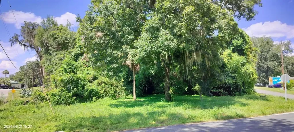1980 S Tsala Terrace Inverness FL 34450