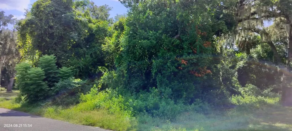 1980 S Tsala Terrace Inverness FL 34450